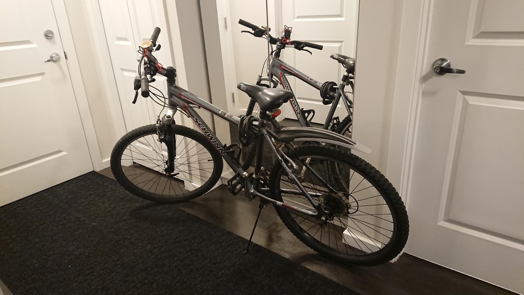 Schwinn Loop Aluminum Frame 7 Speed Silver, gray or bare metal