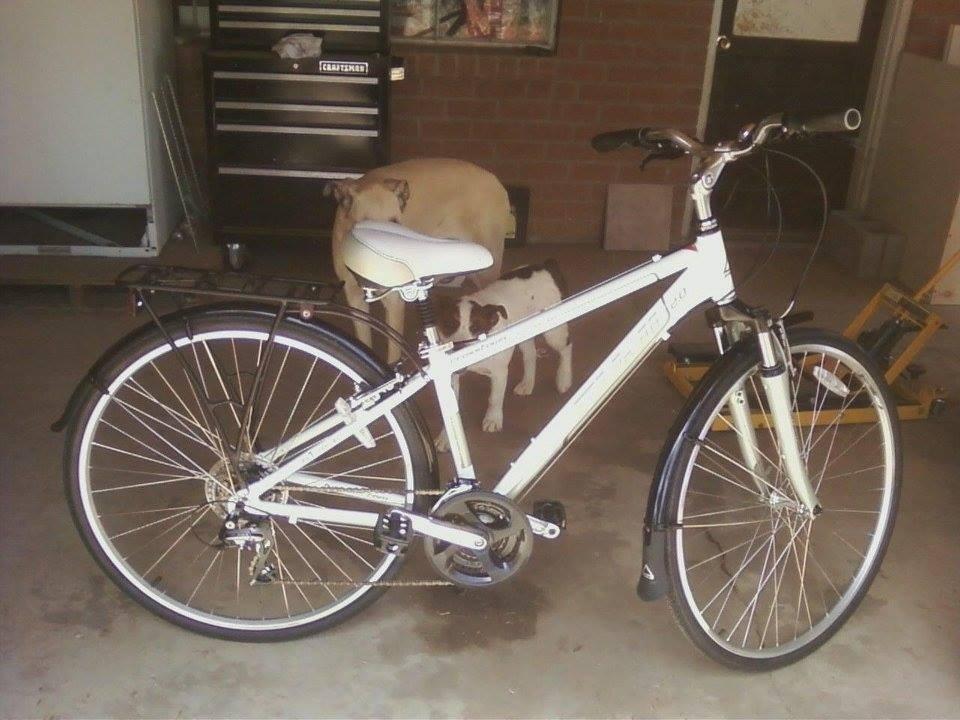 Fuji Crosstown 2.0  White