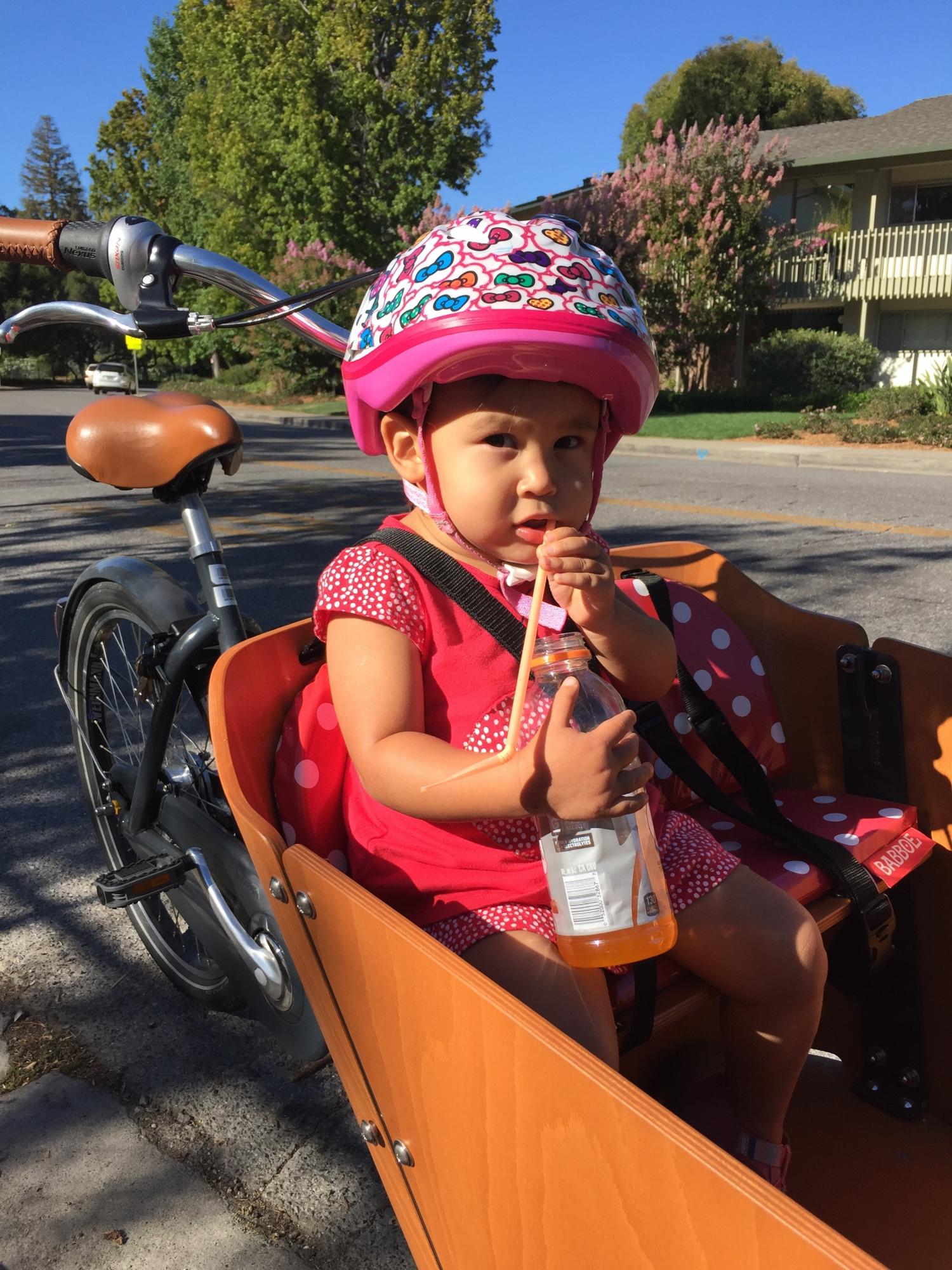 2015 Babboe City cargo bike (front storage) Silver or Gray