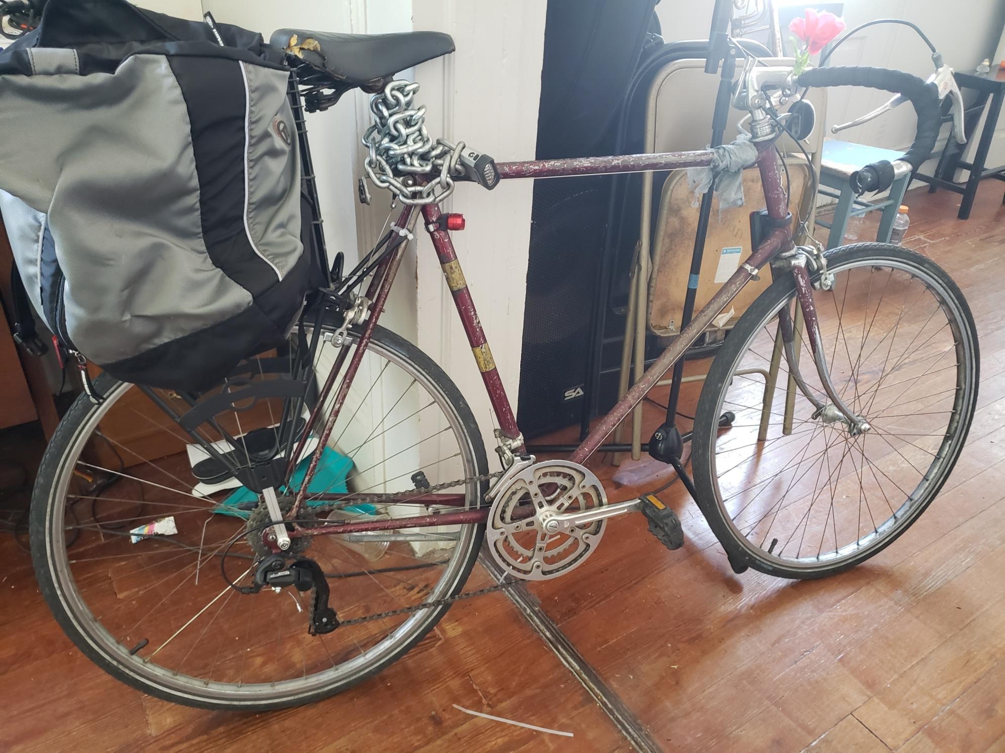 Nishiki Red and Yellow or Gold