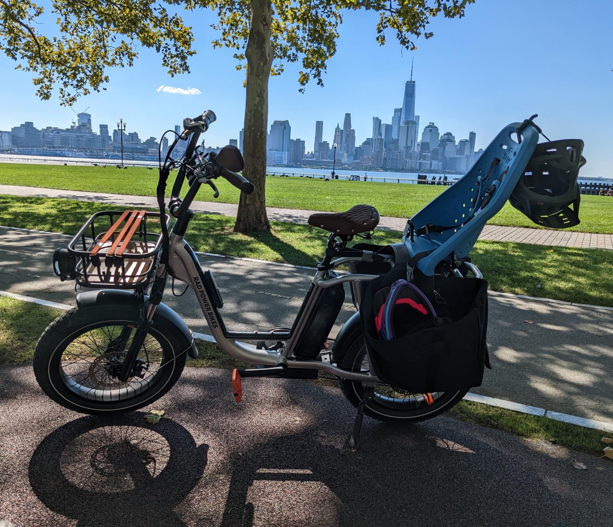 2021 Rad Power Bikes RadRunner Plus Silver, gray or bare metal