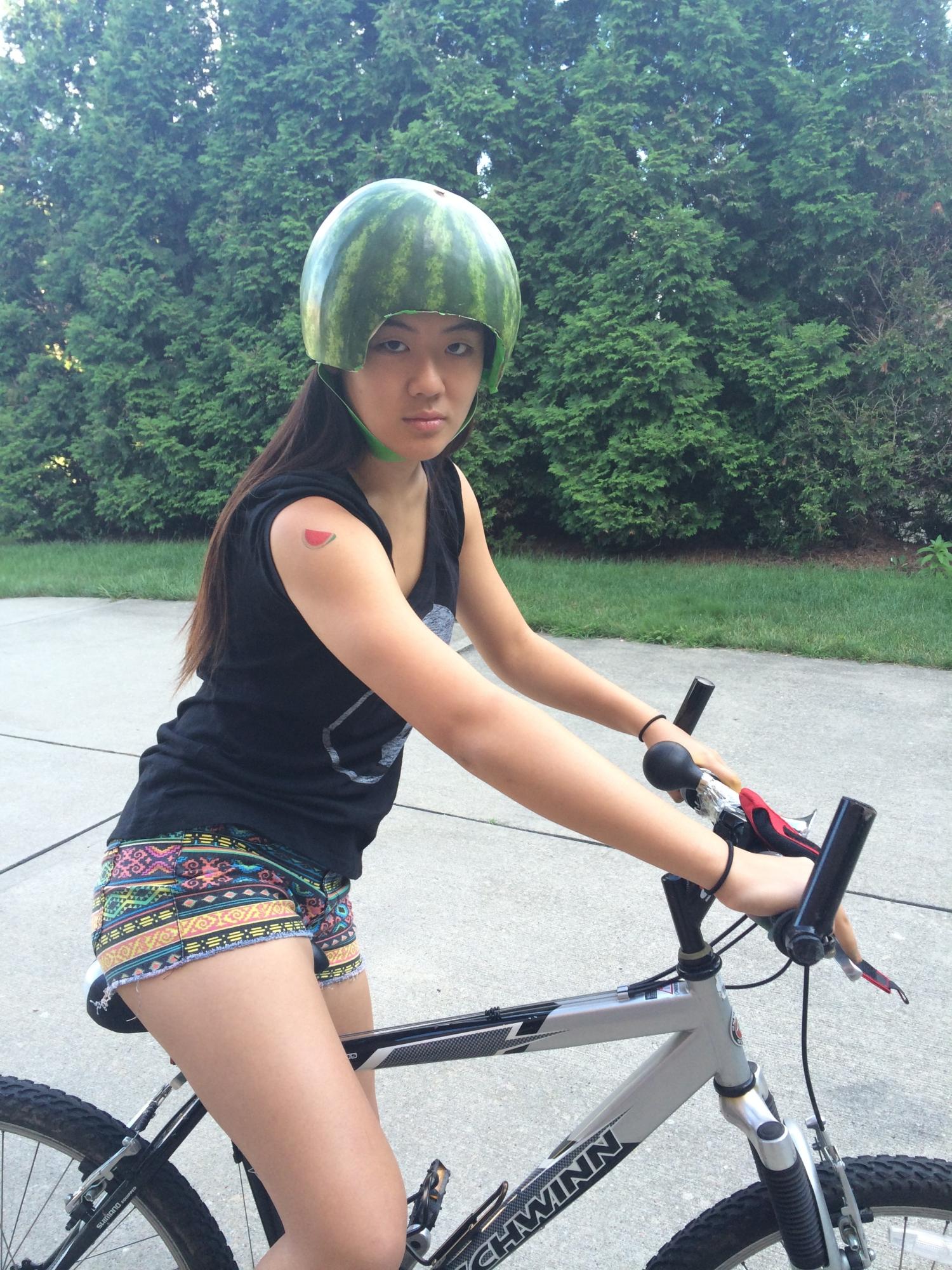 Schwinn Ranger 2.0 Silver or Gray