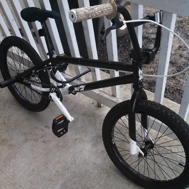 2010 MirraCo  No. 7 blacklabel  Black