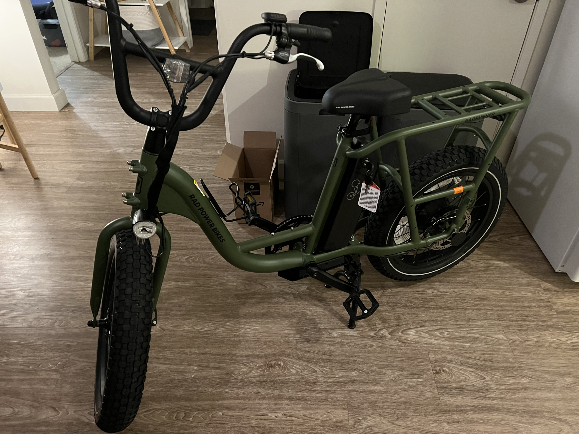 2022 Rad Power Bikes RadRunner 2 Green