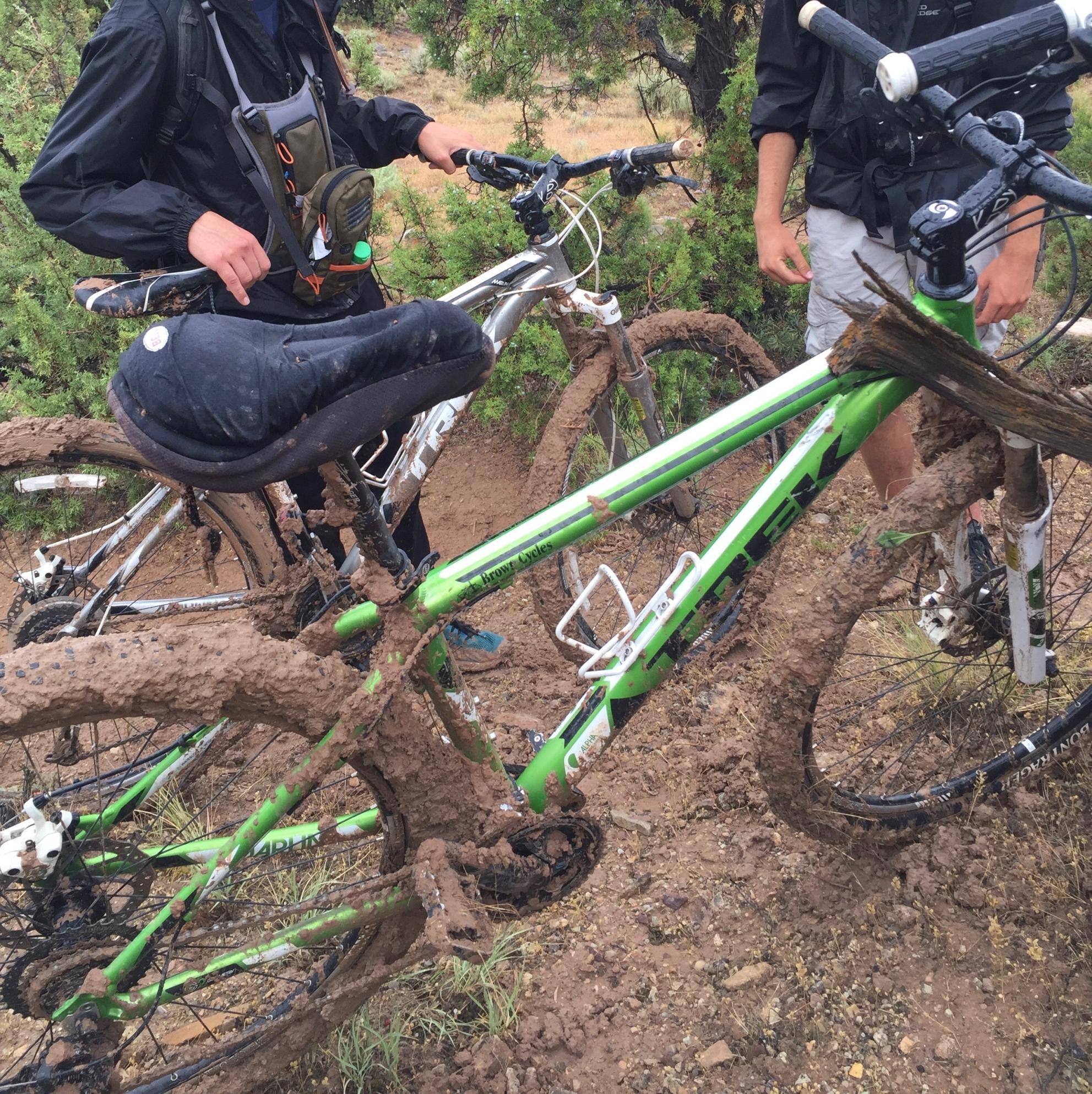 2011 Trek Marin Green, White, and Black
