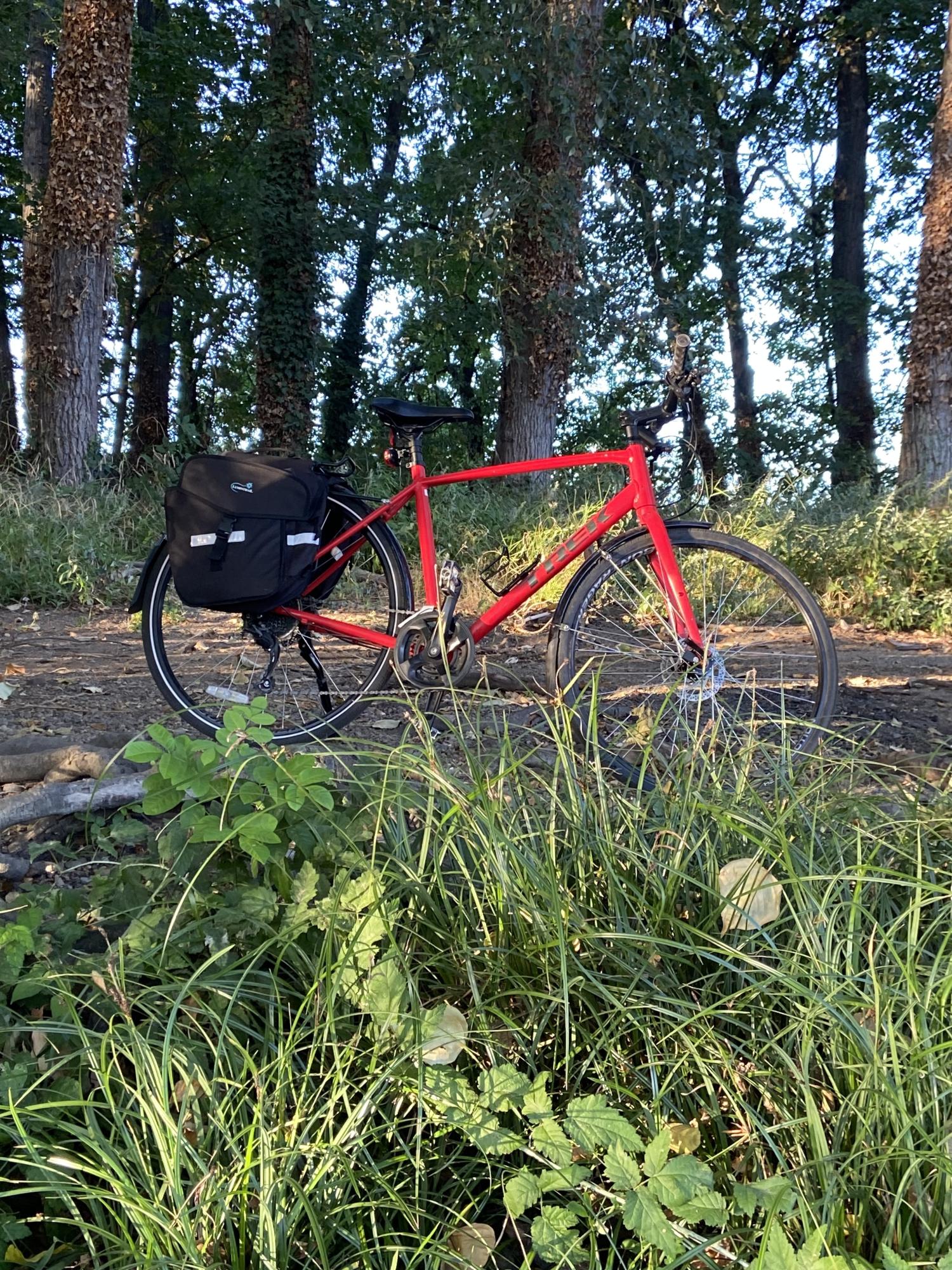 2023 Trek Fx2 Red