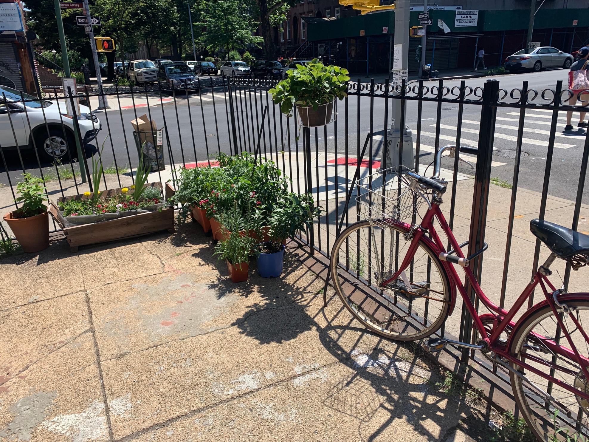 1975 Schwinn cruiser Red