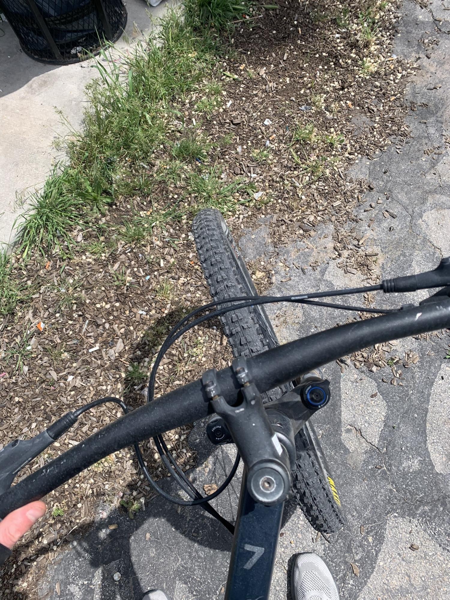 2022 Trek Marlin Blue