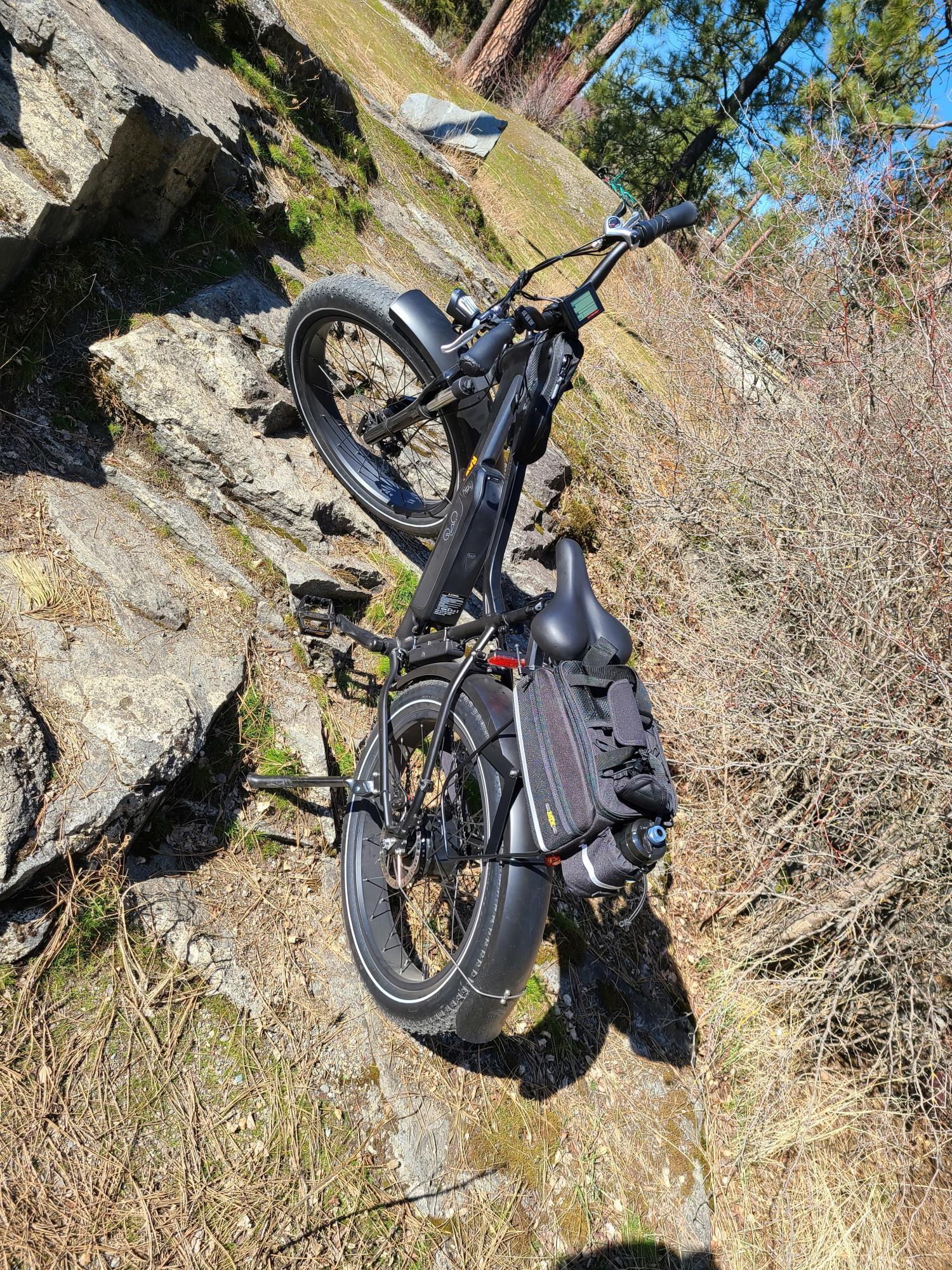 2021 Rad Power Bikes Rover Black