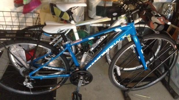 2015 Diamondback Women SM Blue