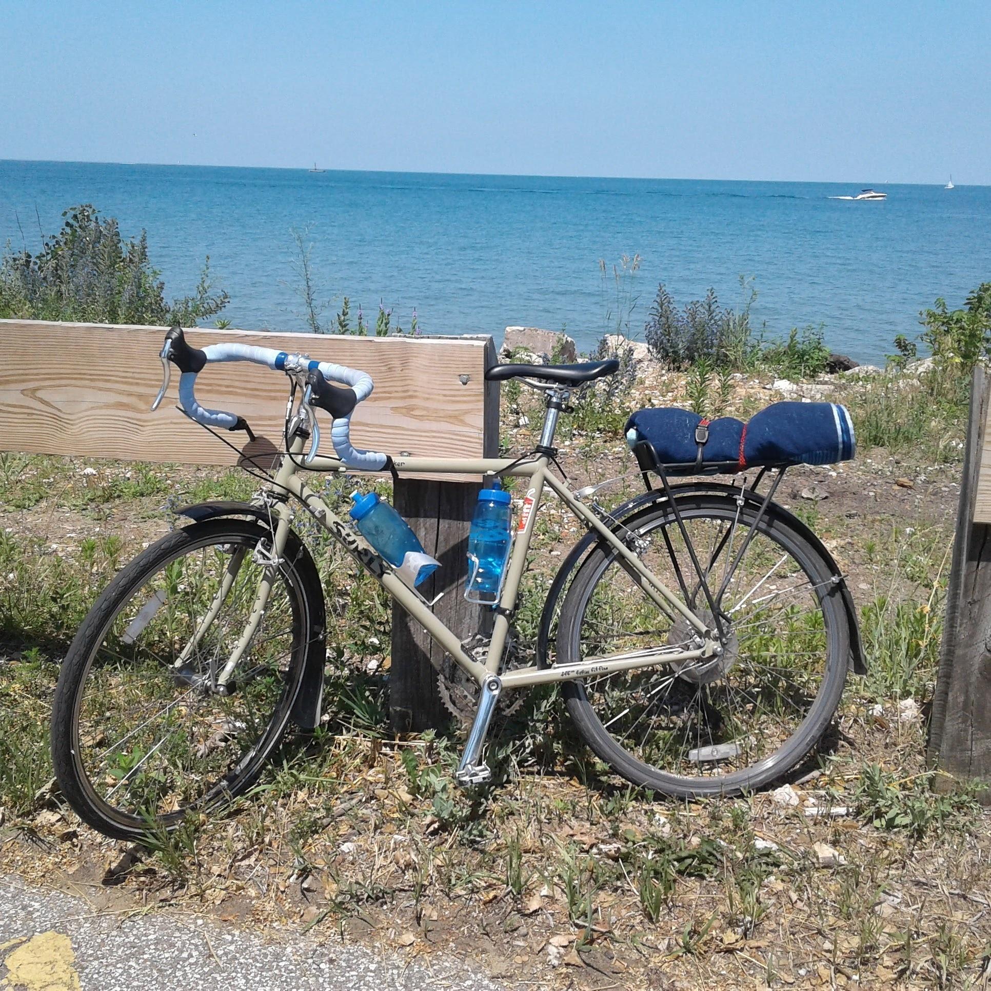 2016 Surly Long Haul Trucker Brown