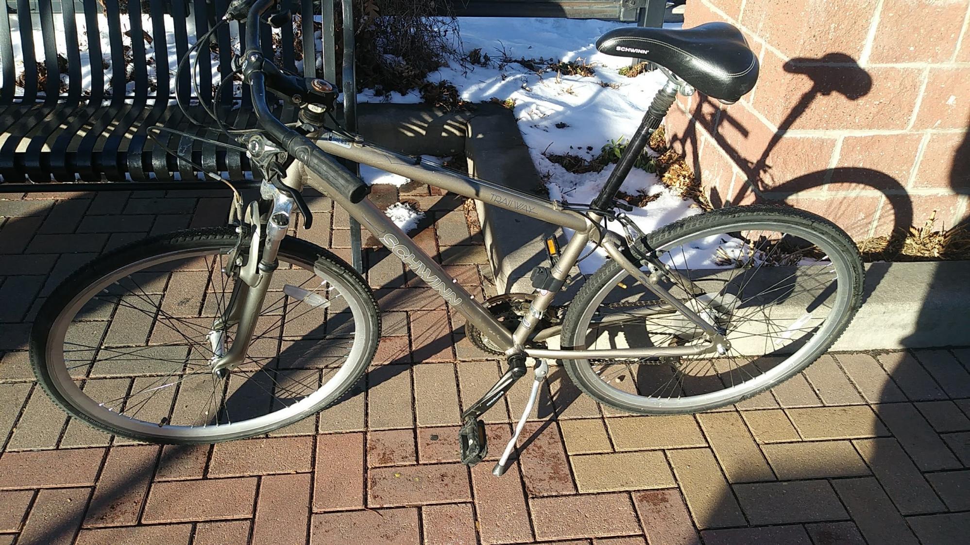 Schwinn Silver, gray or bare metal