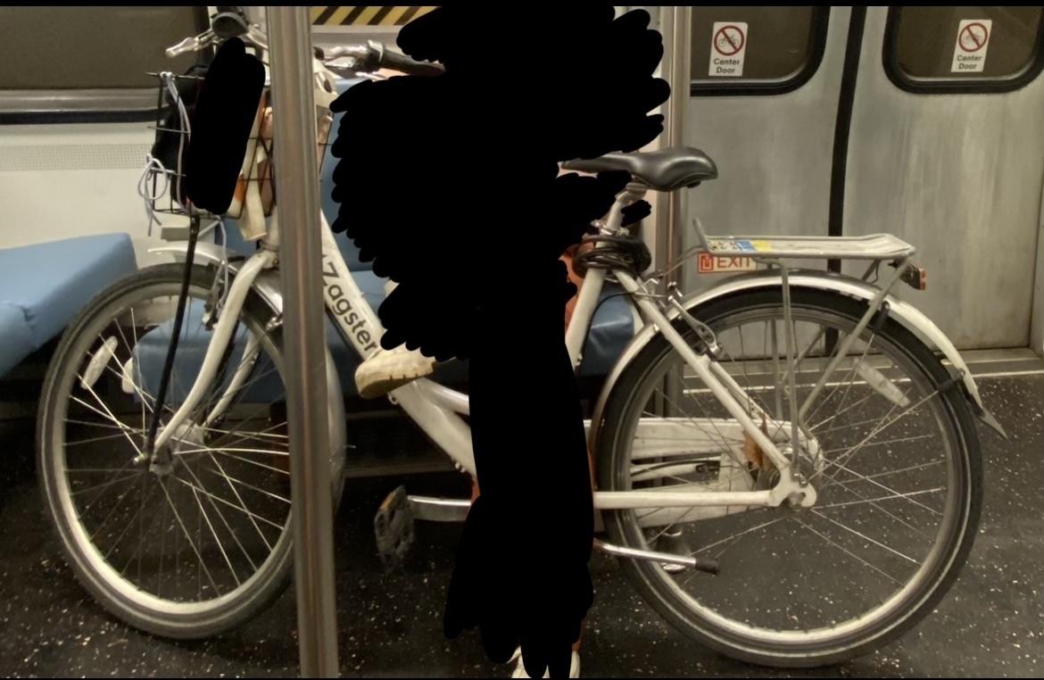 Zagster (retired commuter bike purchased in PA) Zagster Commuter Bike White