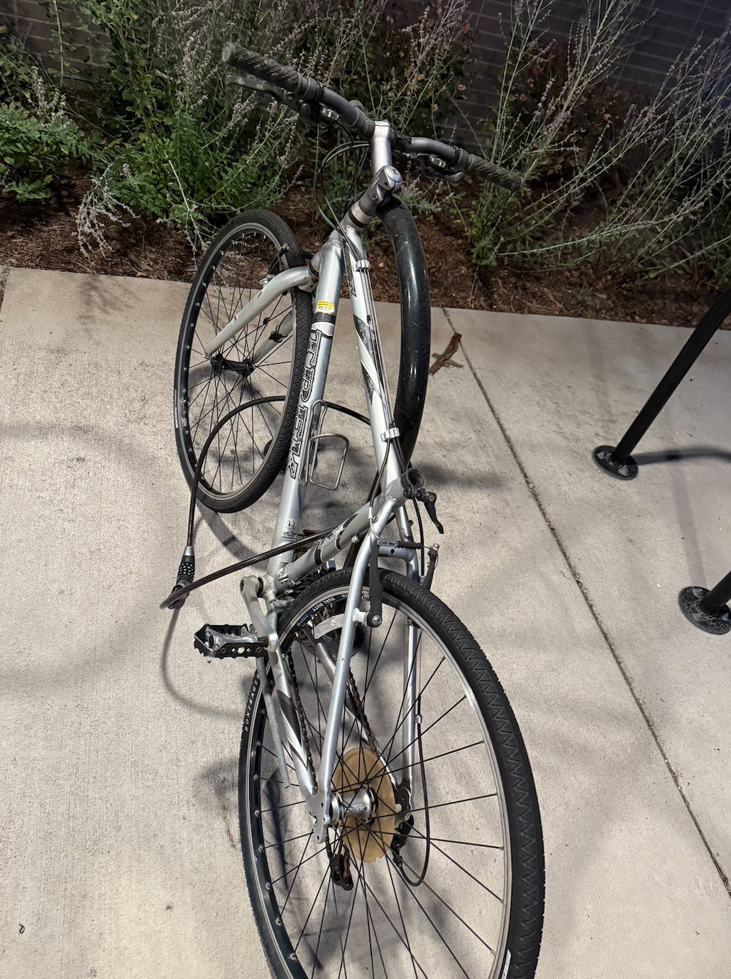 Trek Silver, gray or bare metal