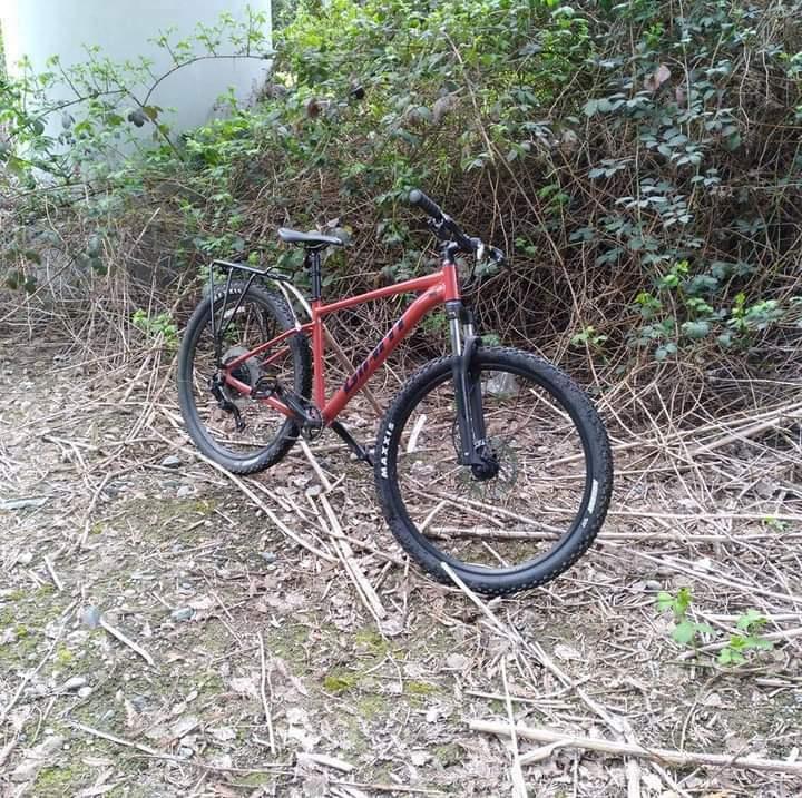 2021 Giant Talon 29 2 Red