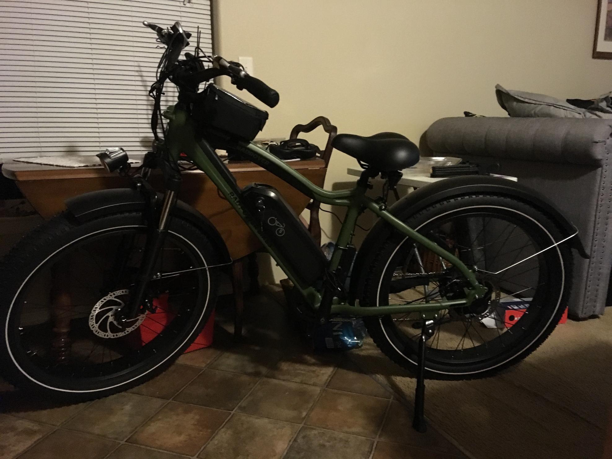 2020 Rad Power Bikes RadRover 5 Green