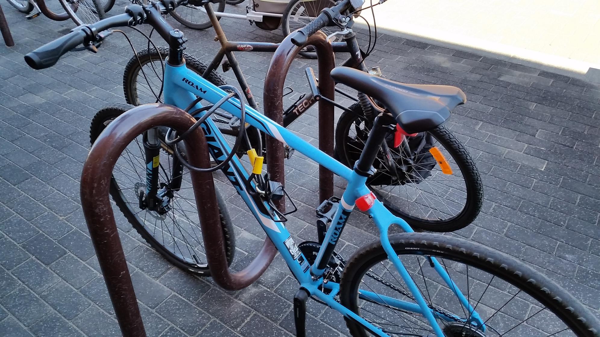 2016 Giant Roam Blue