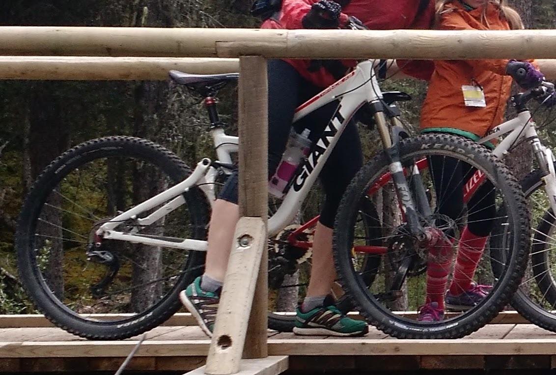 2010 Giant Trance X3 White