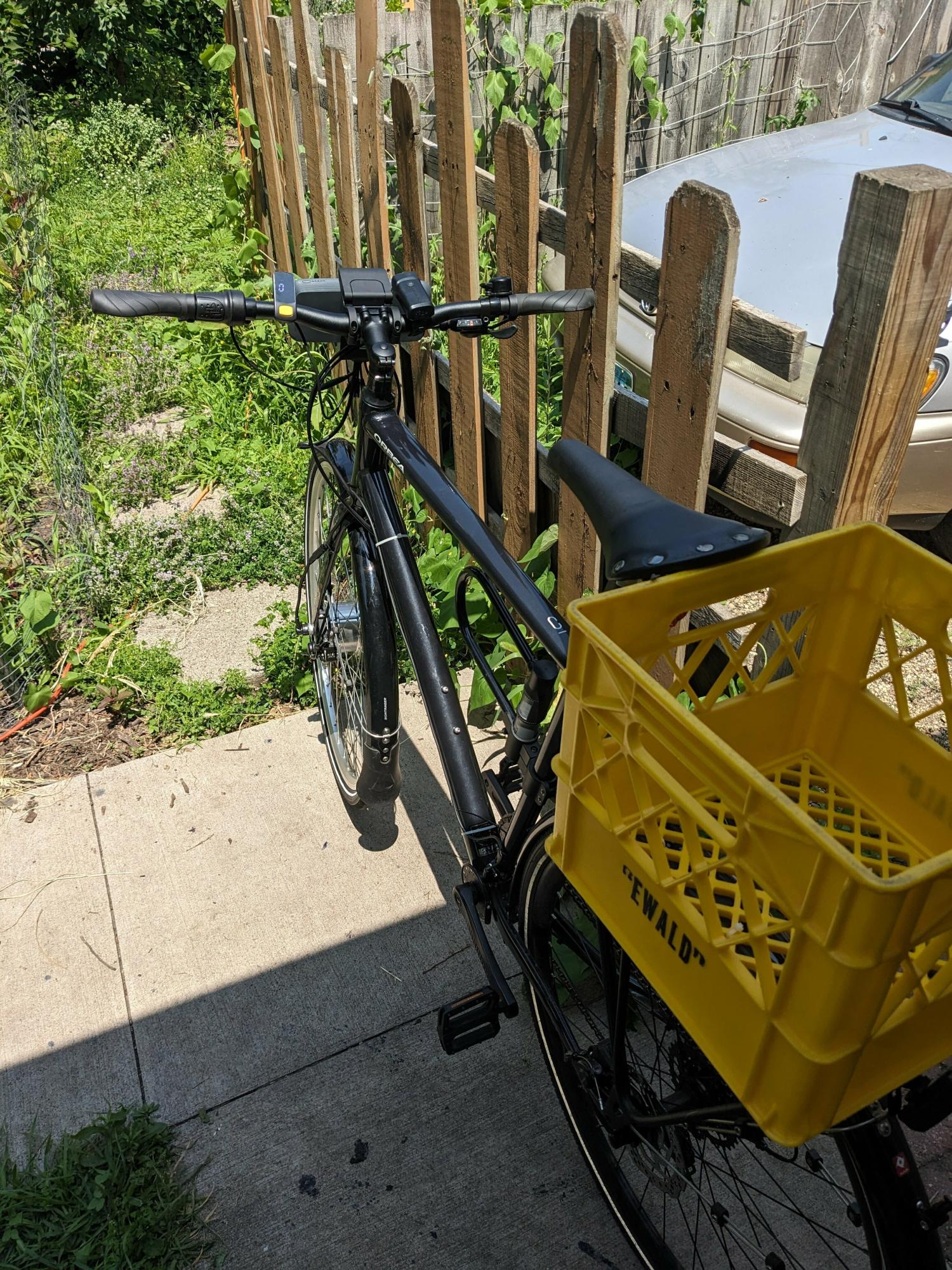 2022 Orbea Carpe Black