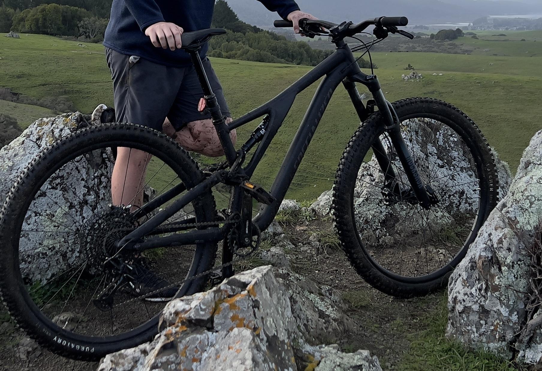 2021 Specialized Stumpjumper Silver, gray or bare metal