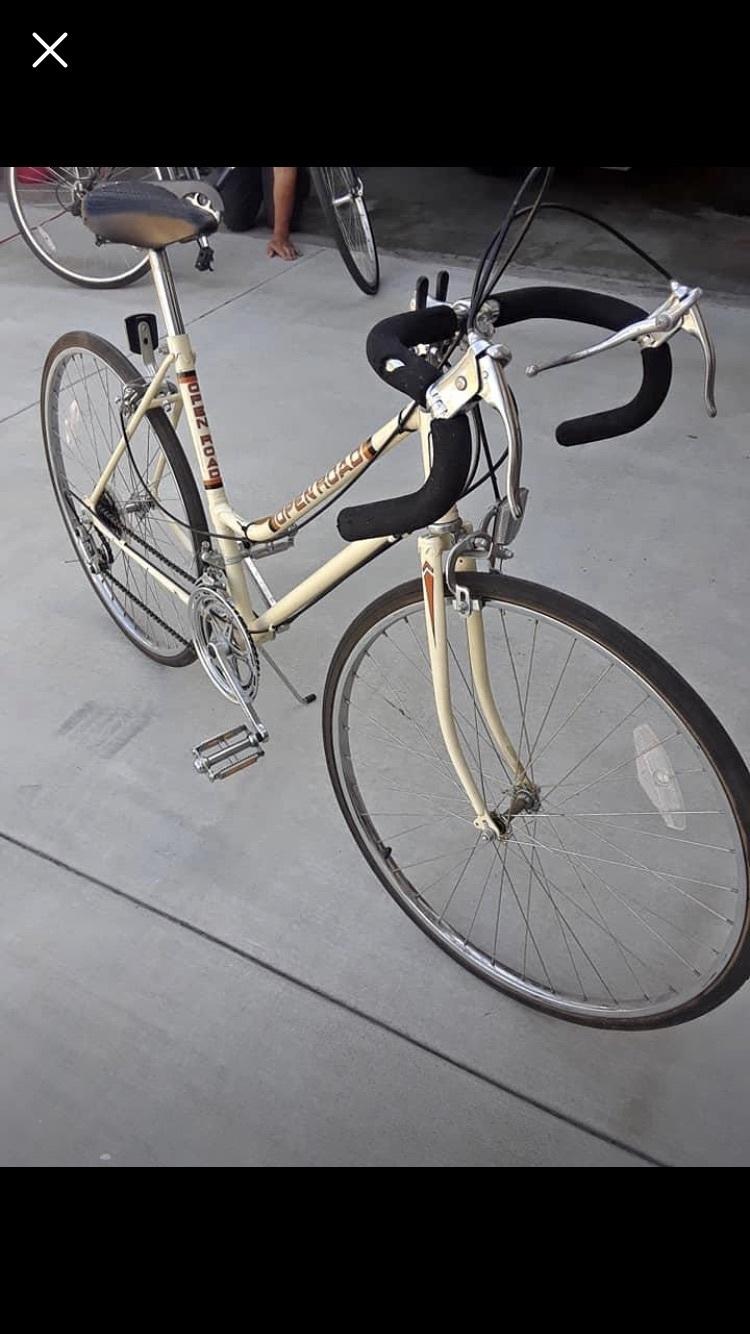 1983 Open Road ladies Brown