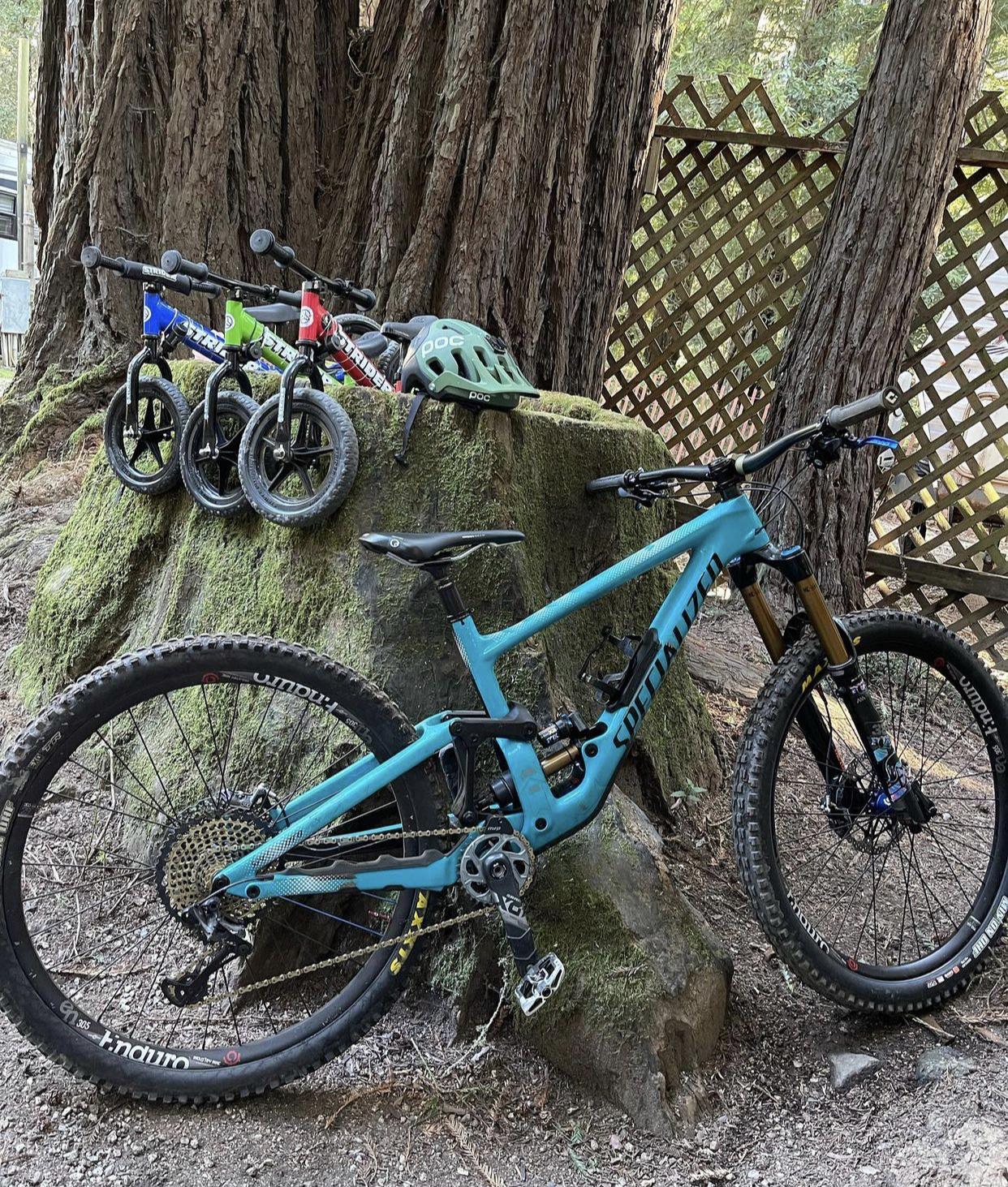 2019 Specialized Enduro Blue