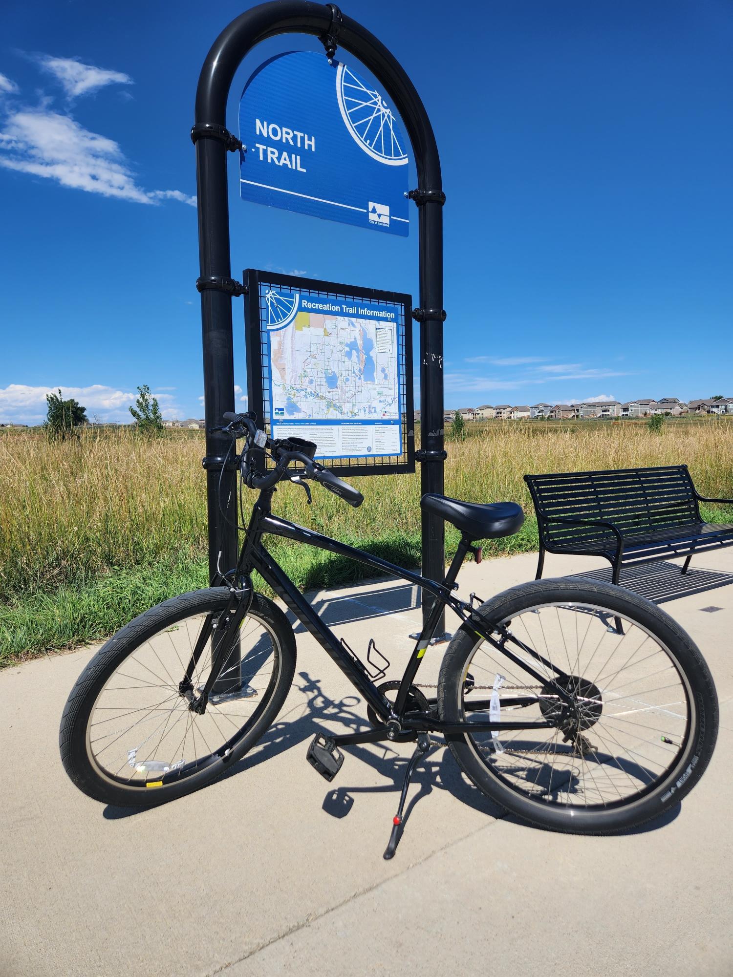 2019 Specialized Roll Black