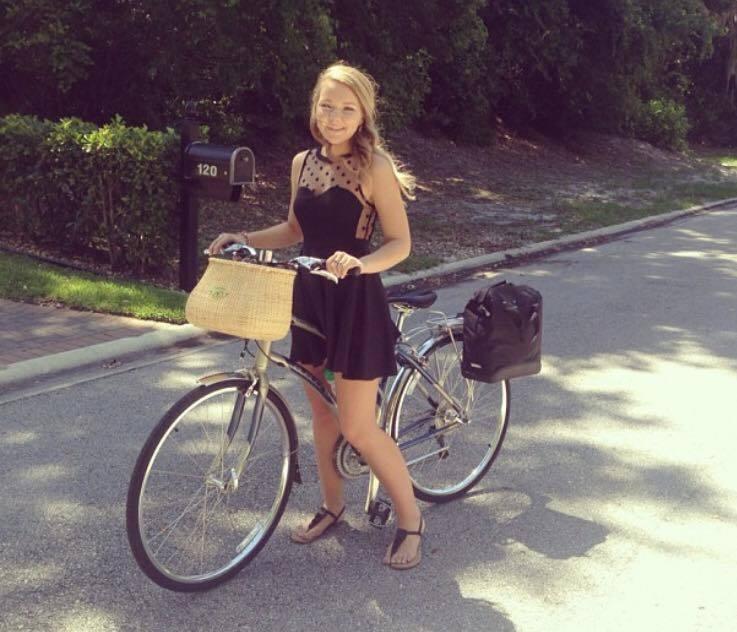 2013 Electra Verse 21d Silver or Gray