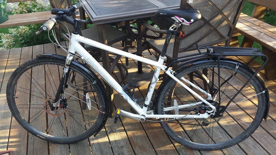 2009 Gary Fisher Mendota  White