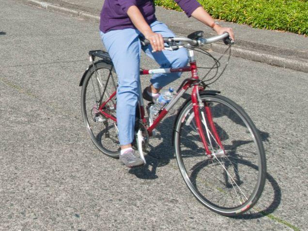 2012 Jamis Coda Sport Red