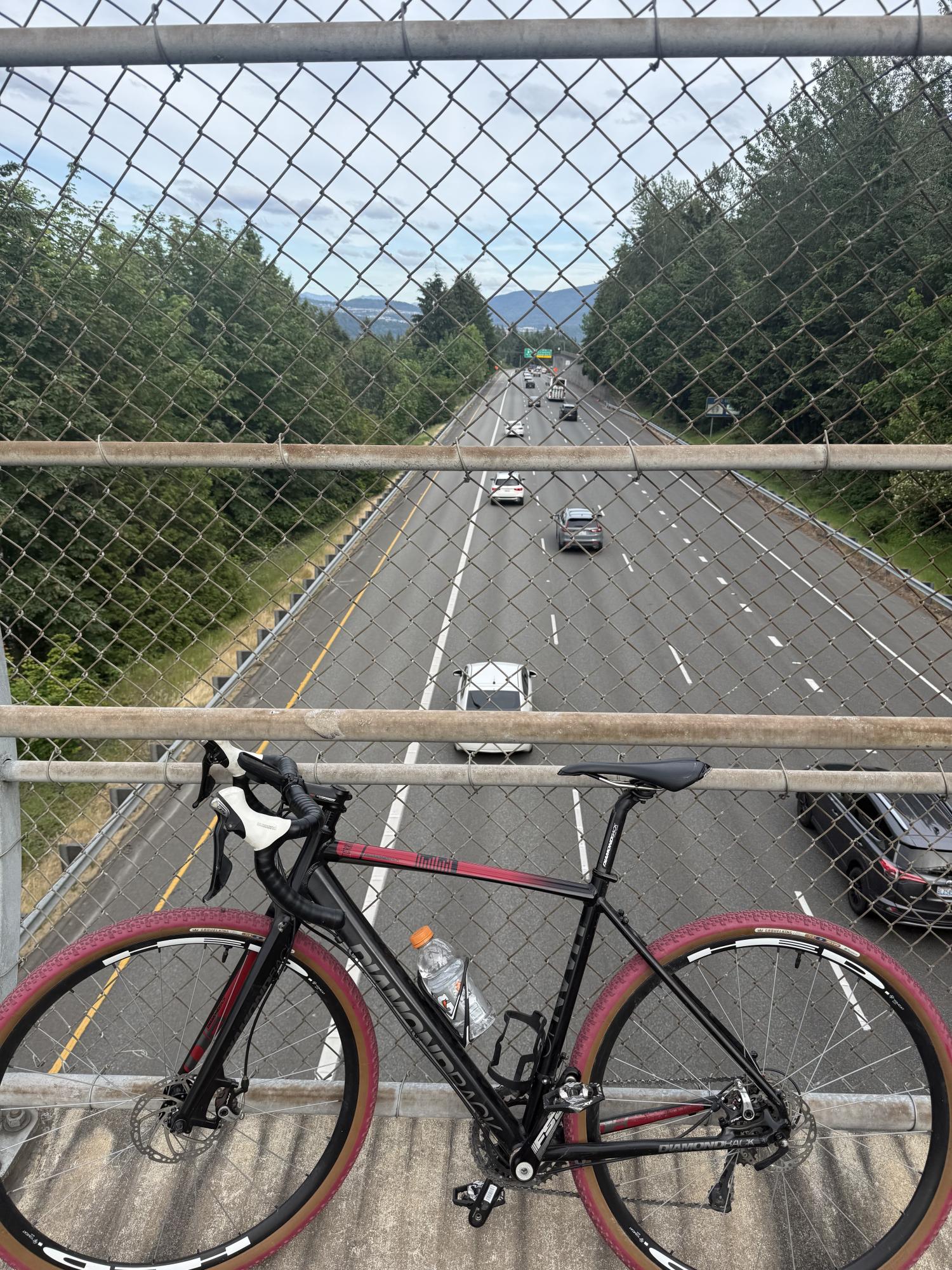 2014 Diamondback Haanjo Black and Red