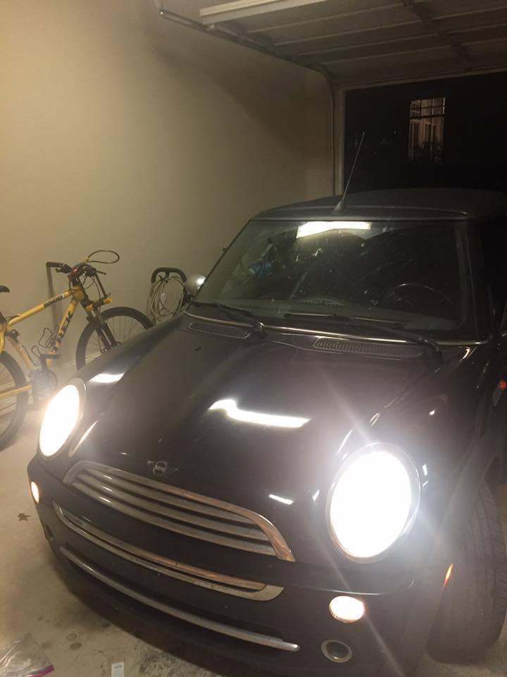 Trek 4500 Yellow or Gold and Purple