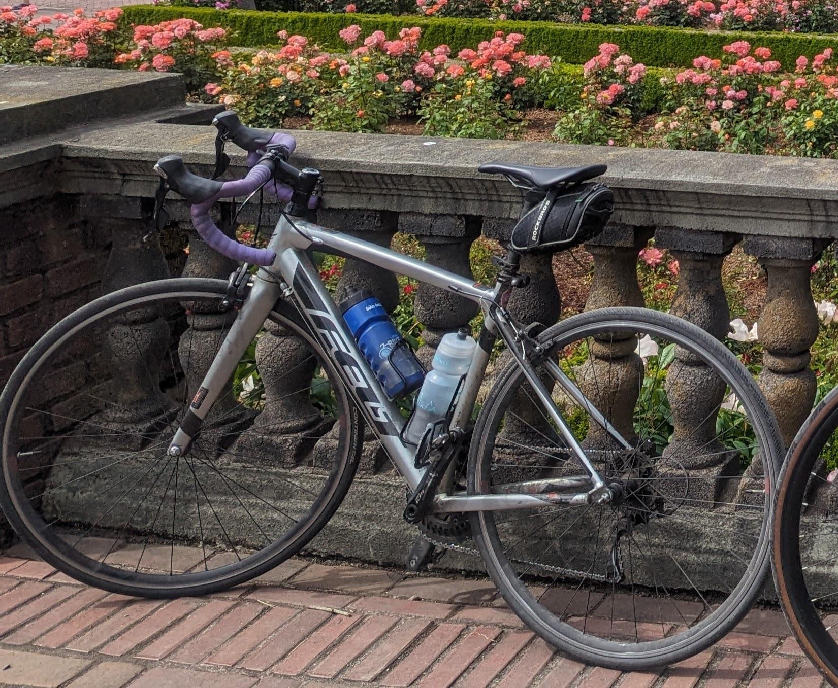 2015 Felt Z85 Silver, gray or bare metal