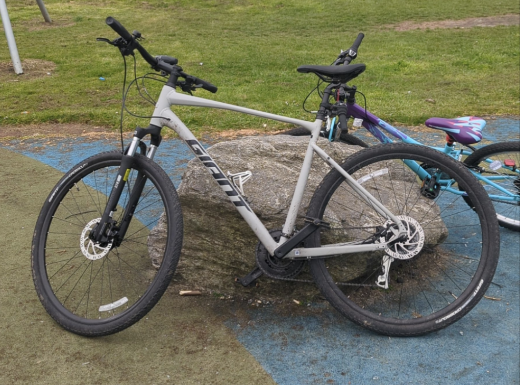 2021 Giant Roam 3 Silver, gray or bare metal