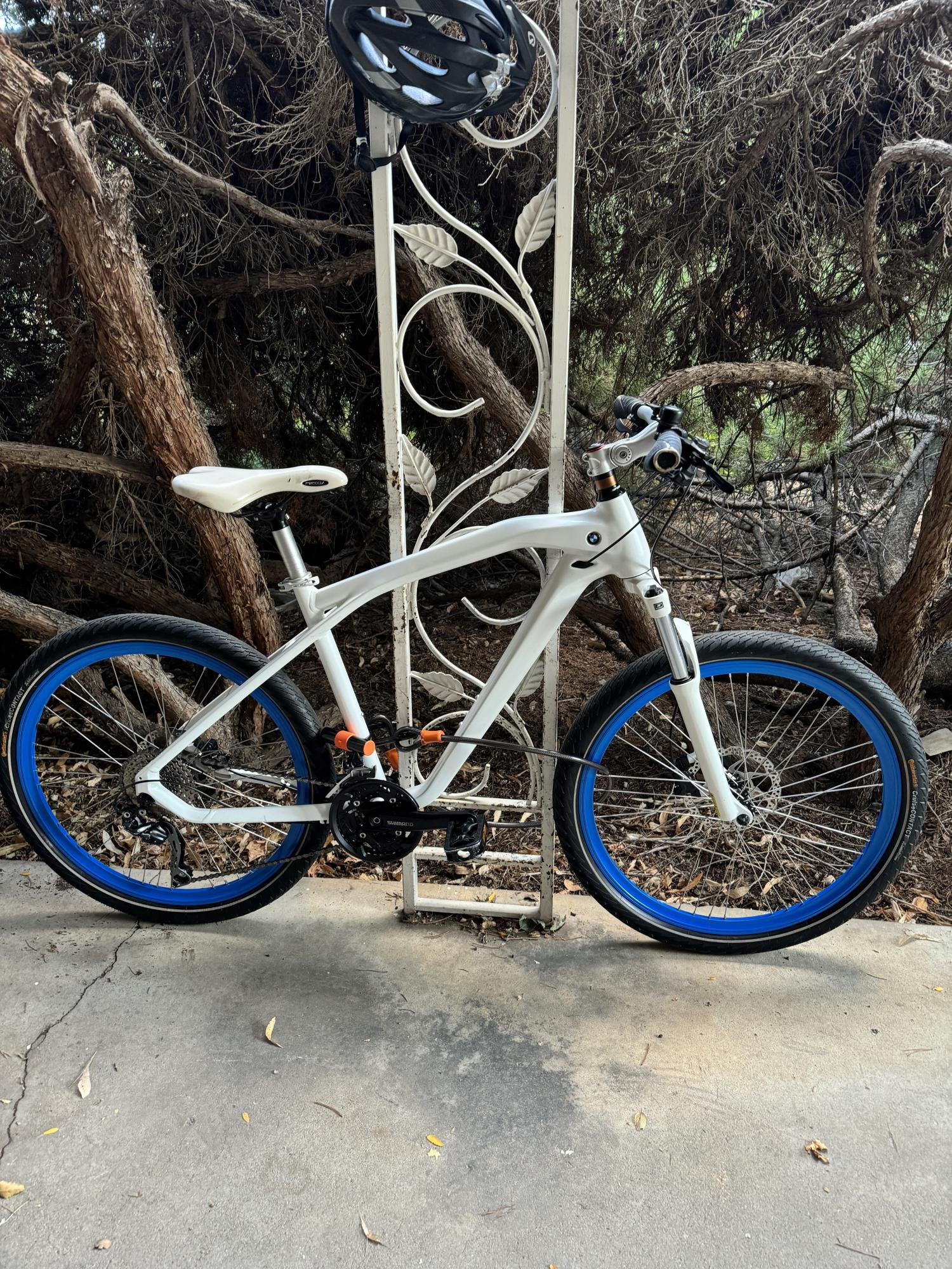 Other BMW White and Blue