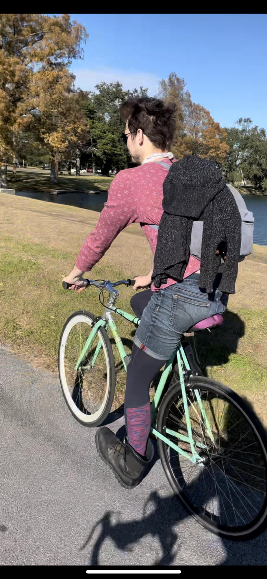 2016 6KU Single speed Teal