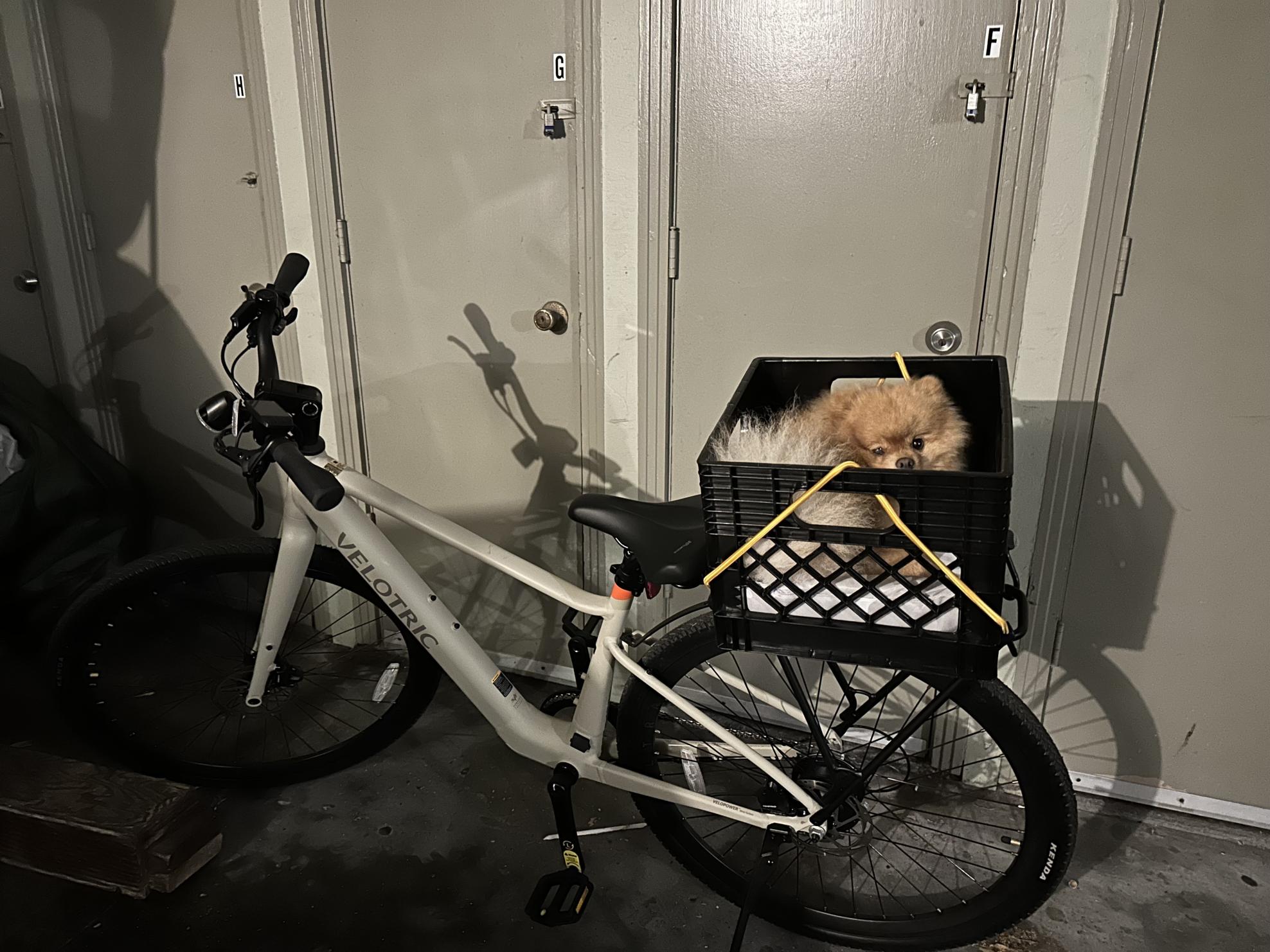 2024 Velotric T1 ST Plus Brown