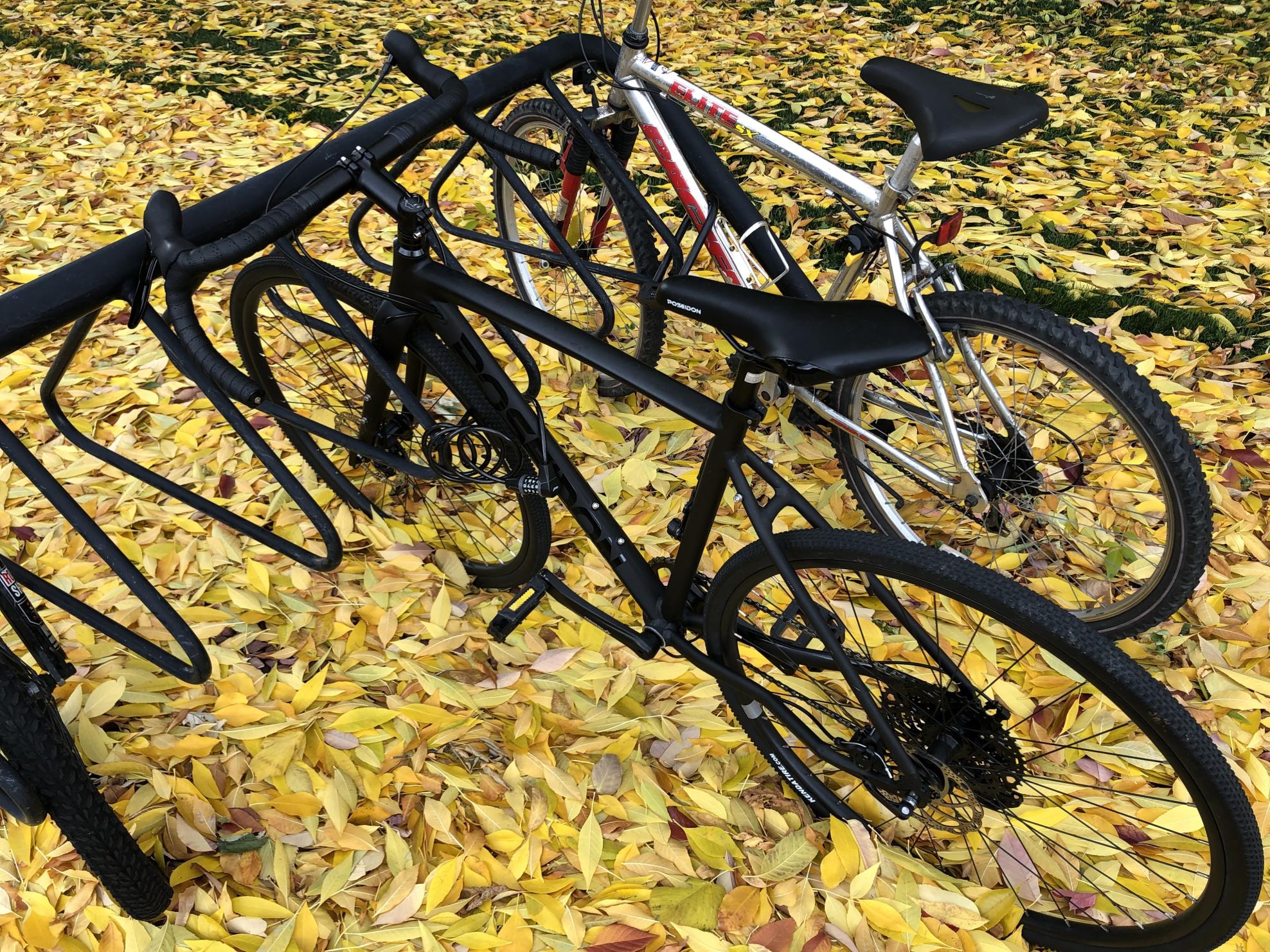 2021 Poseidon Poseidon X Black