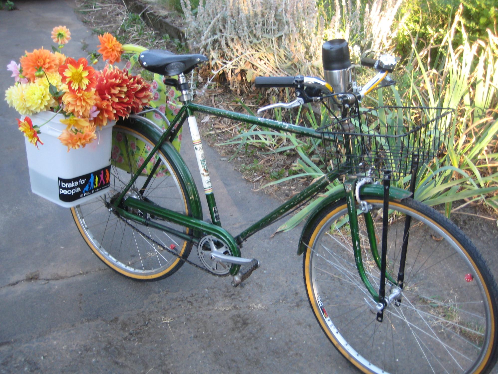 Daimler Steyr  Green