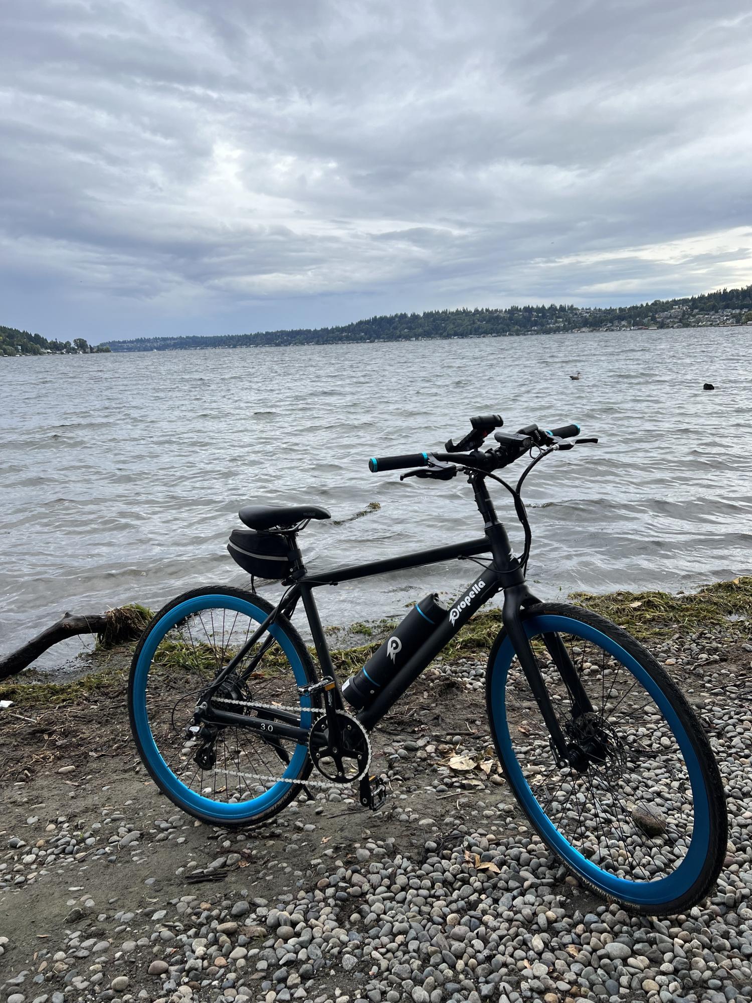 2019 Propella 7S Black