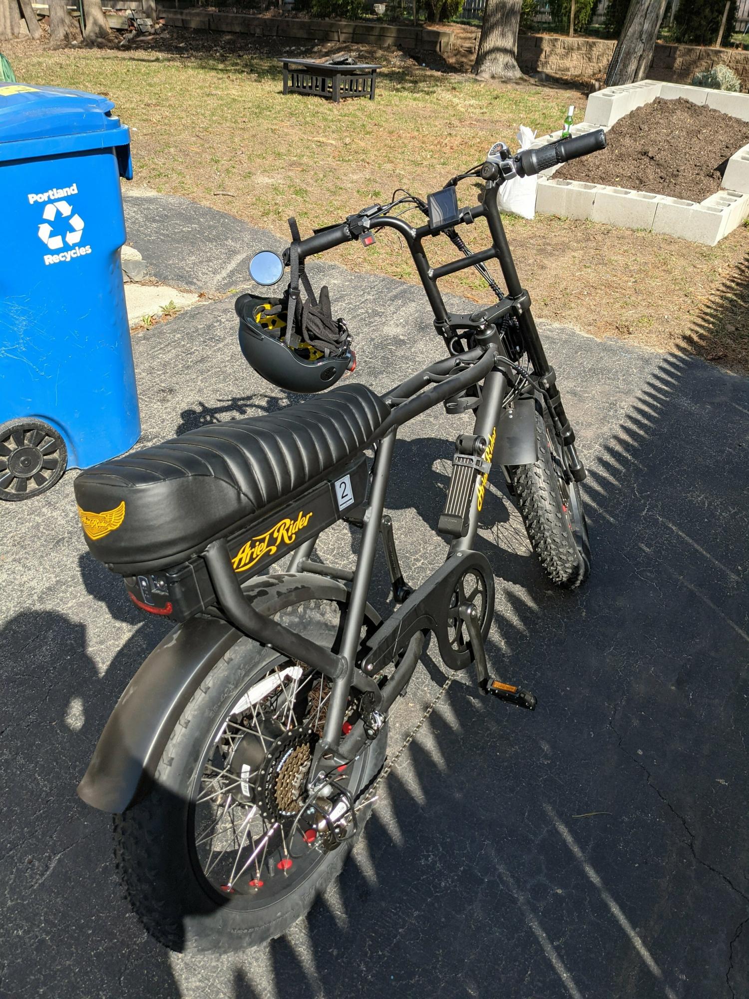 2020 Ariel Rider D Class Black and Yellow or Gold