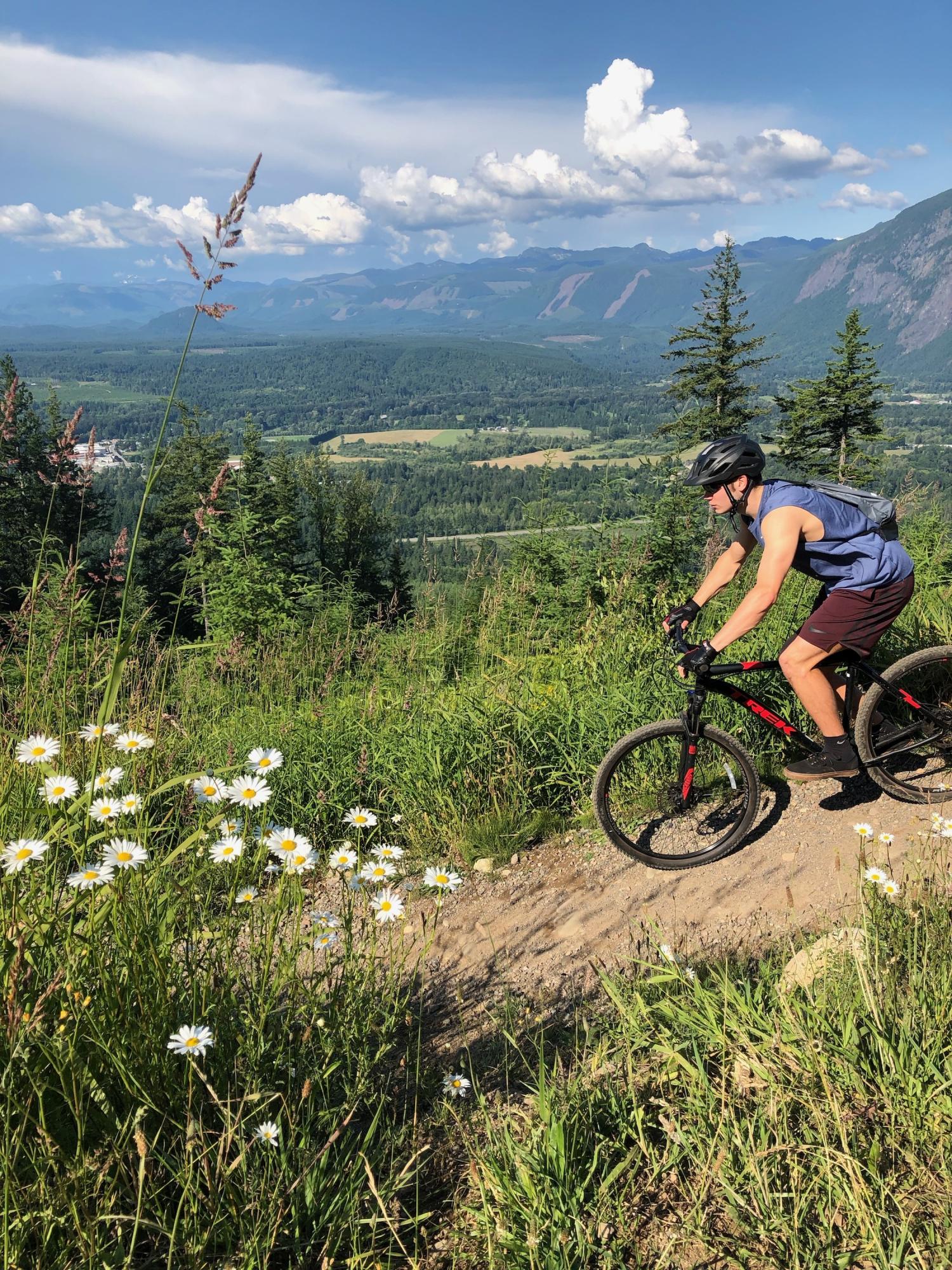 2017 Trek Marlin 7 Black