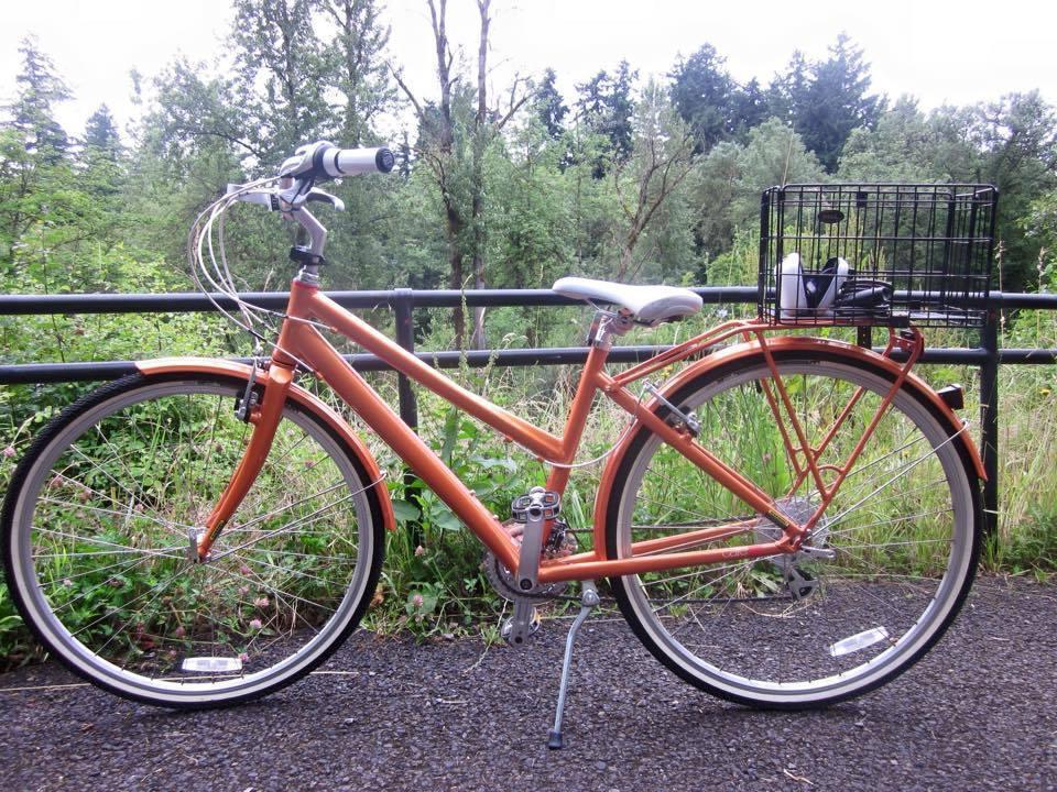 2012 Felt cafe 24 Orange