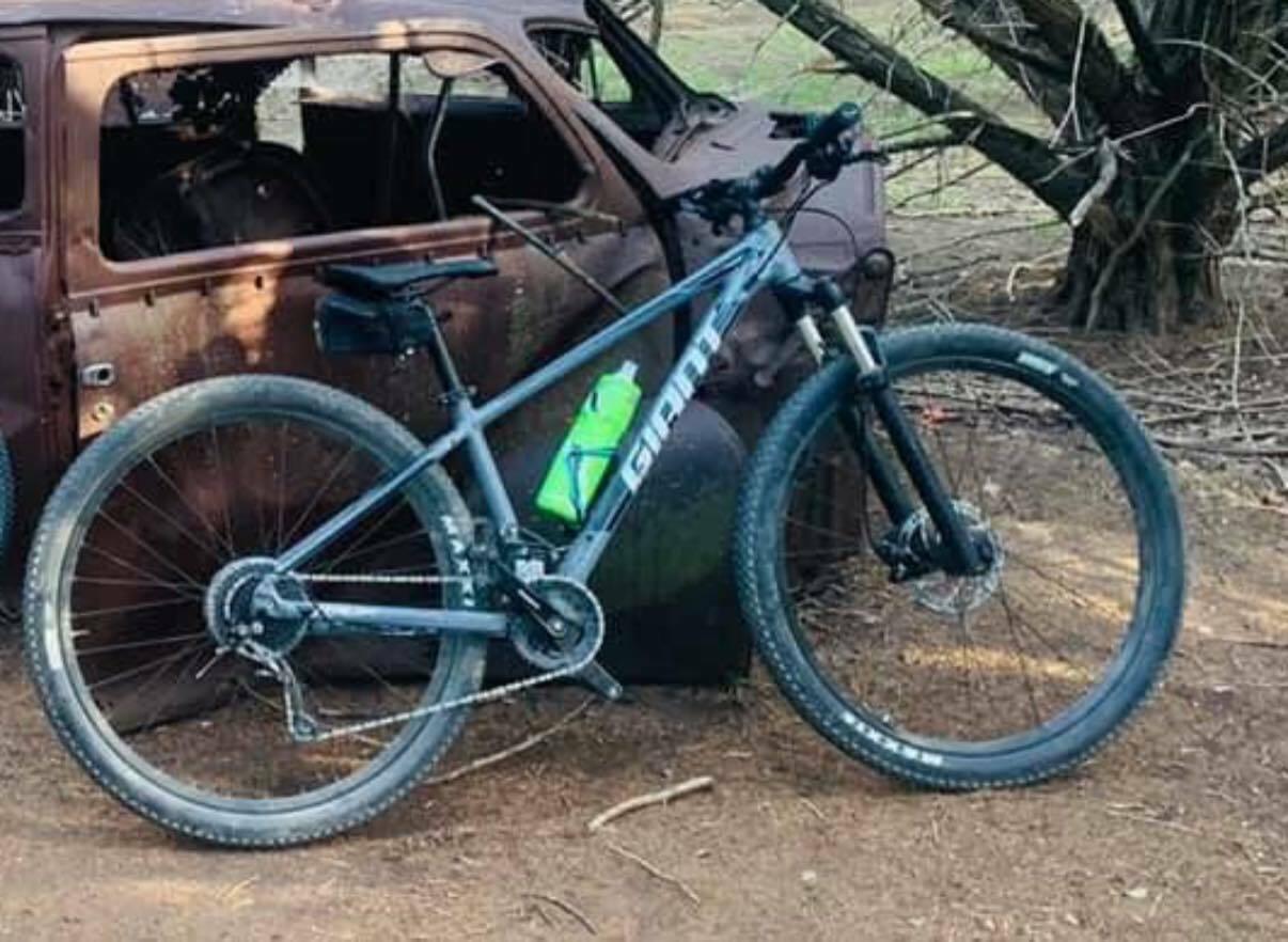 2022 Giant Talon Silver, gray or bare metal