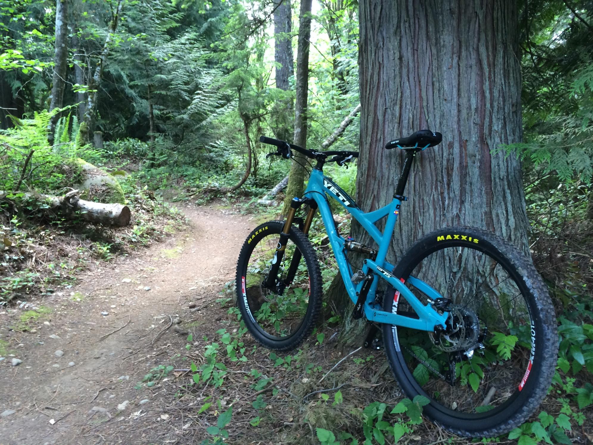 2015 Yeti SB-75 Green