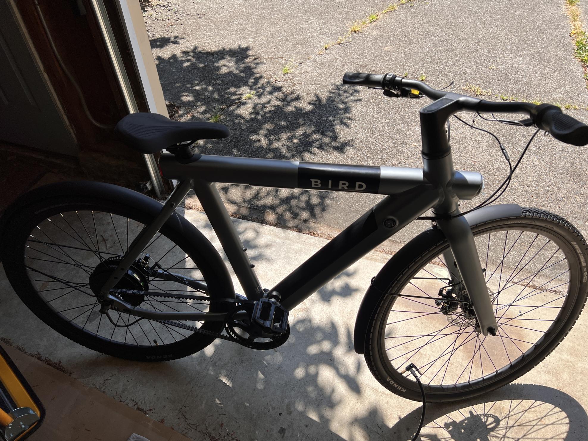 2023 Bird A Silver, gray or bare metal