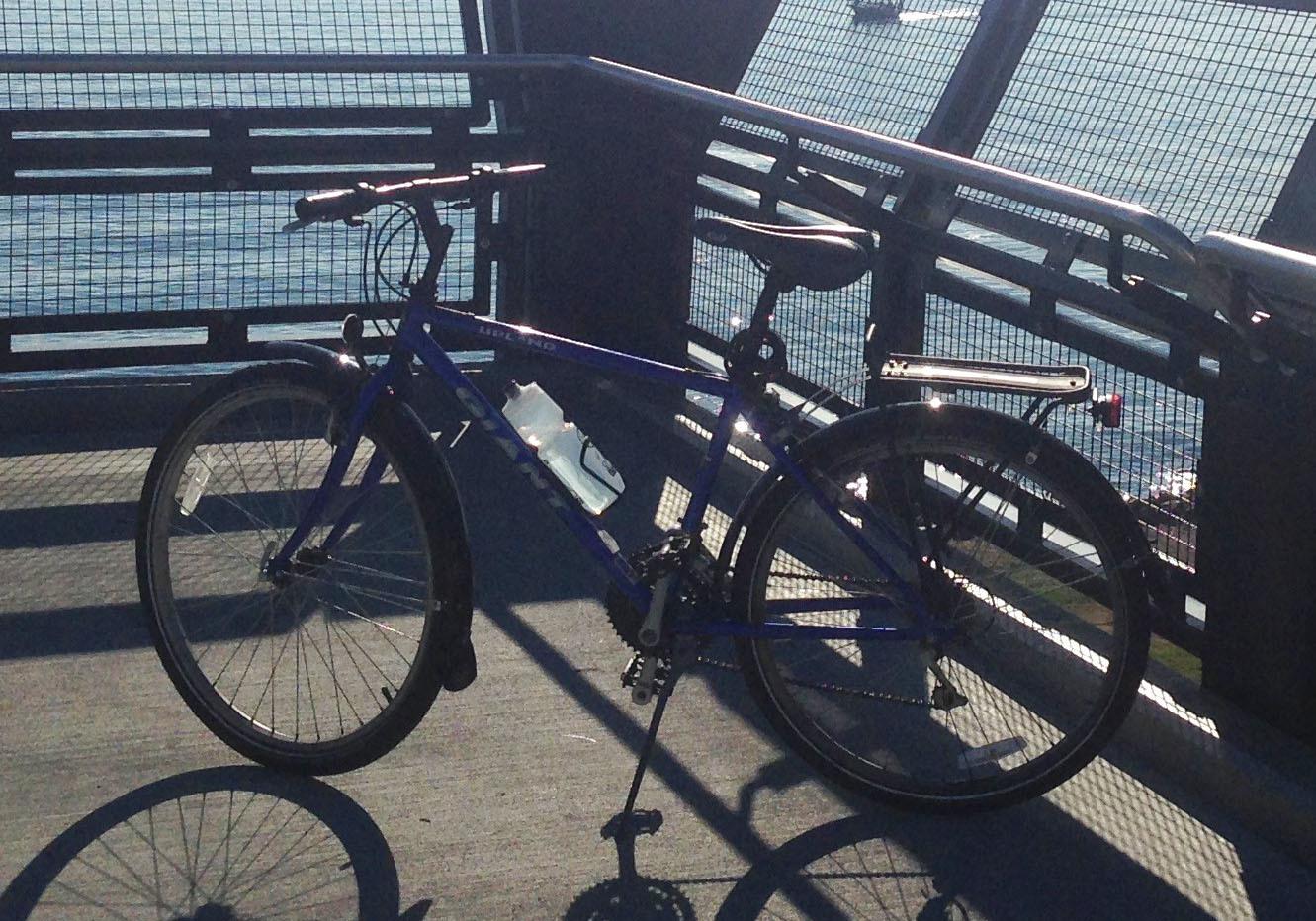 2001 Giant Upland Blue