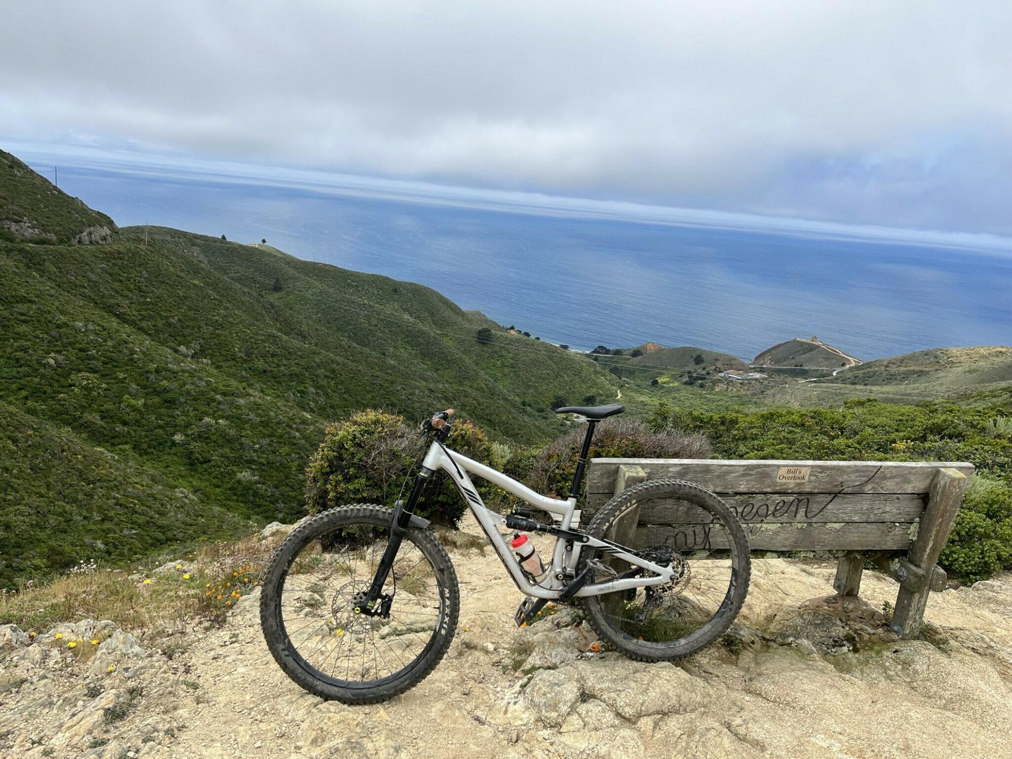 2020 Ibis Ripmo AF SLX Silver, gray or bare metal