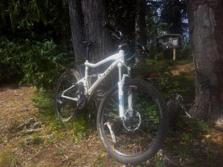 2010 GT Bicycles Sensor 1.0  Black