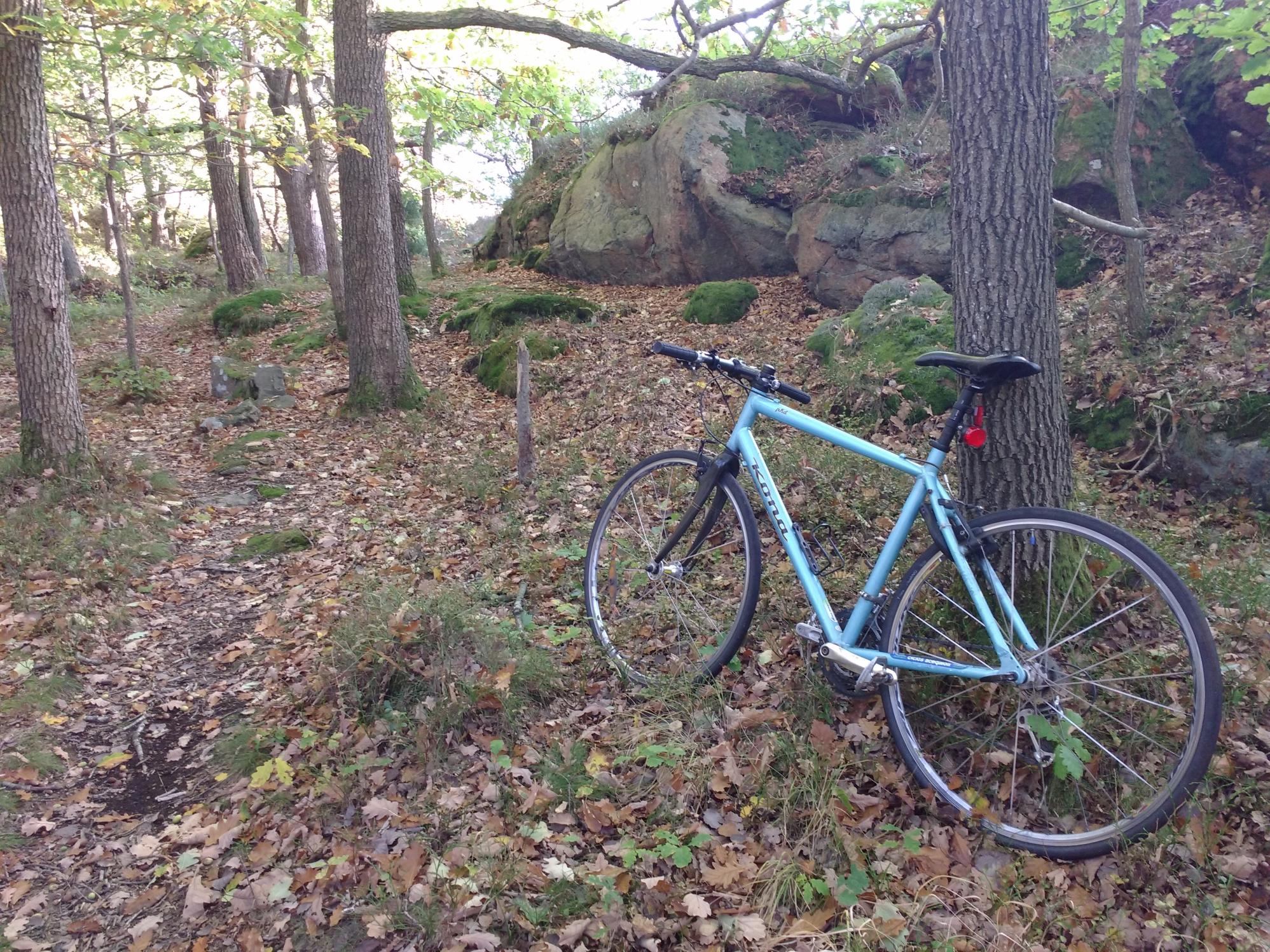 2010 Kona PhD Blue